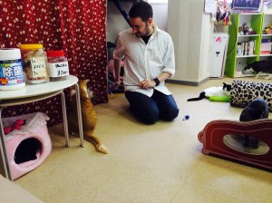 11484685684_a943dbb3bc_o