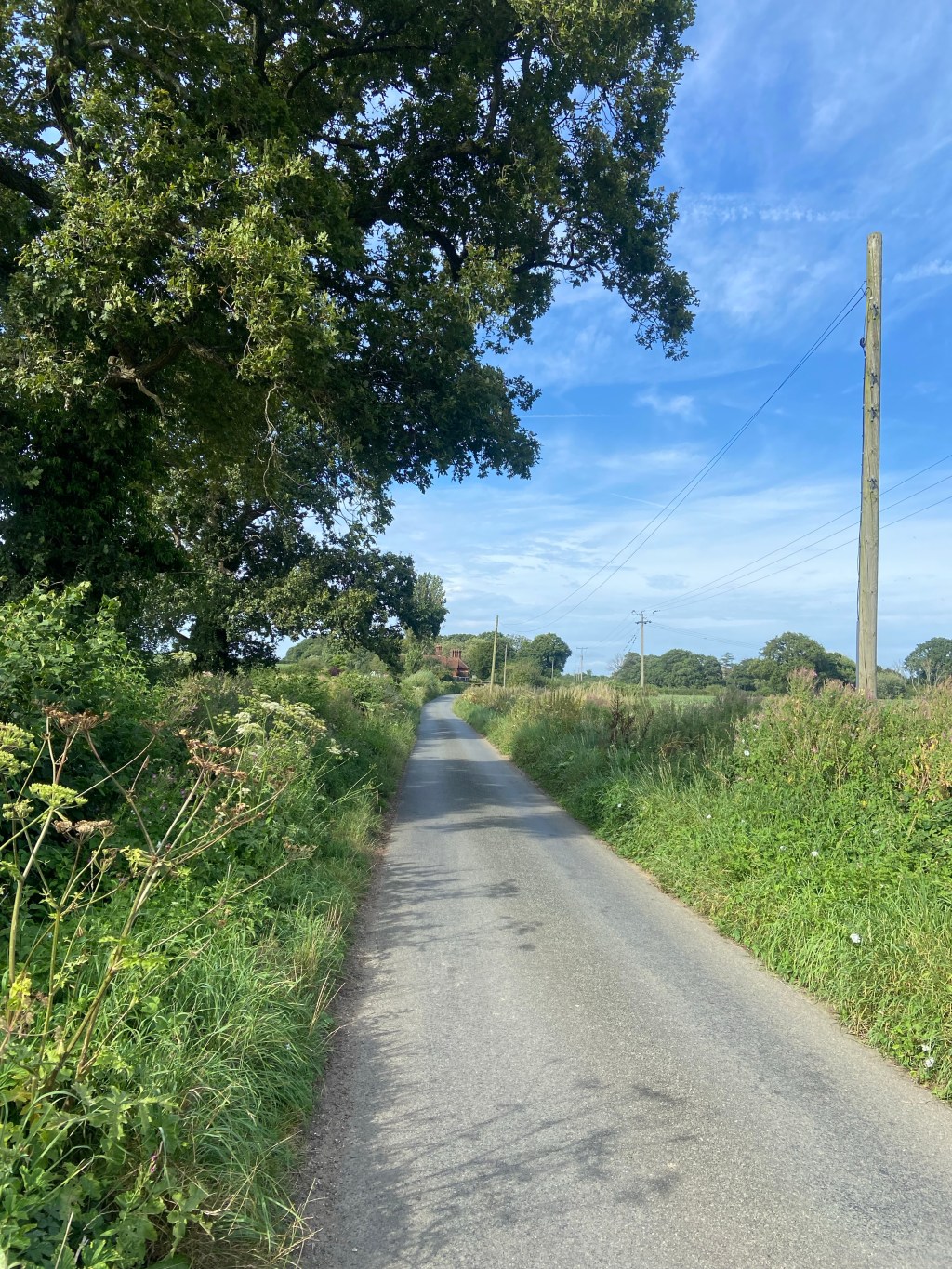 Lewes to East Grinstead by bike, via Forest&nbsp;Row